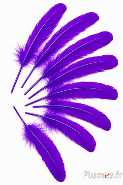 Gans - 15-21 cm - violett